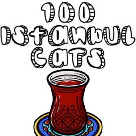 Обкладинка гри 100 Istanbul Cats