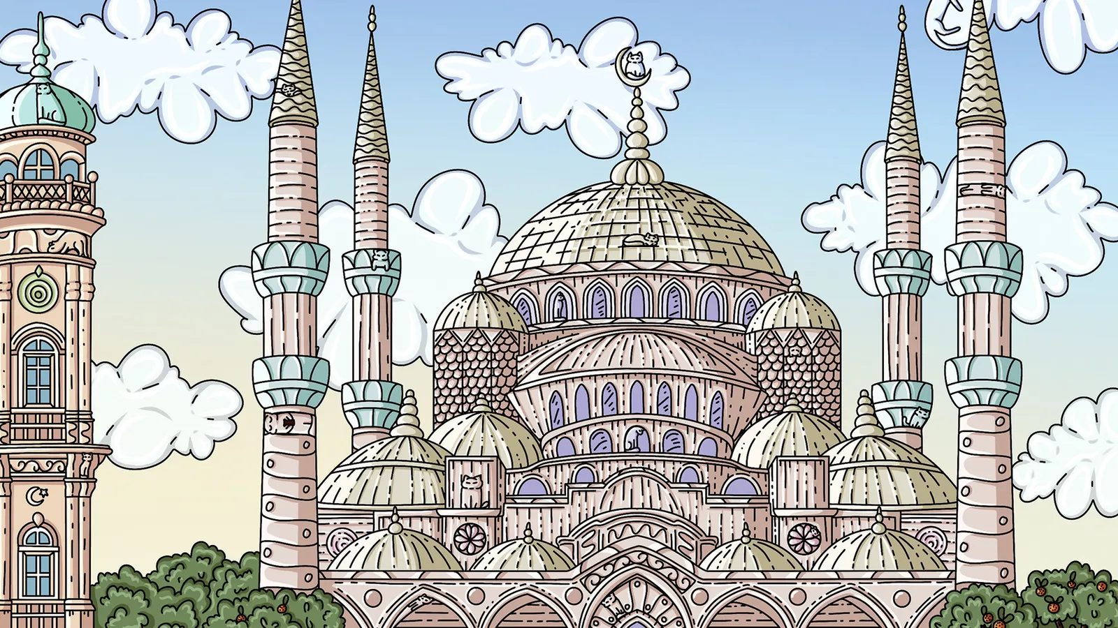 100 Istanbul Cats media 11