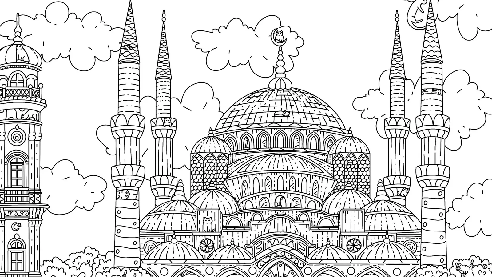 100 Istanbul Cats media 16
