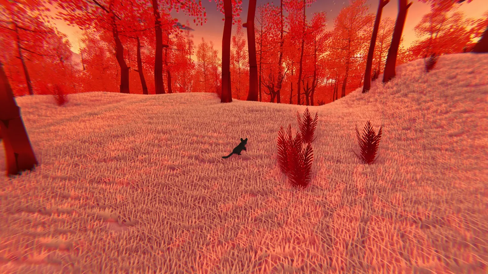 A Lost Note media 2