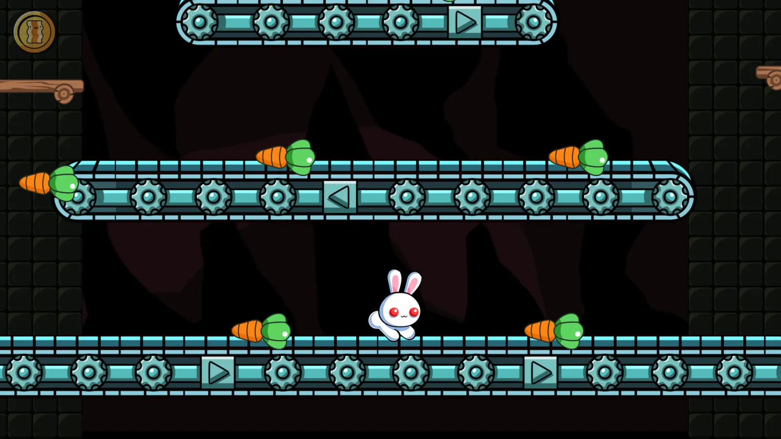A Pretty Odd Bunny media 7