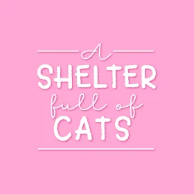 Обкладинка гри A Shelter Full of Cats