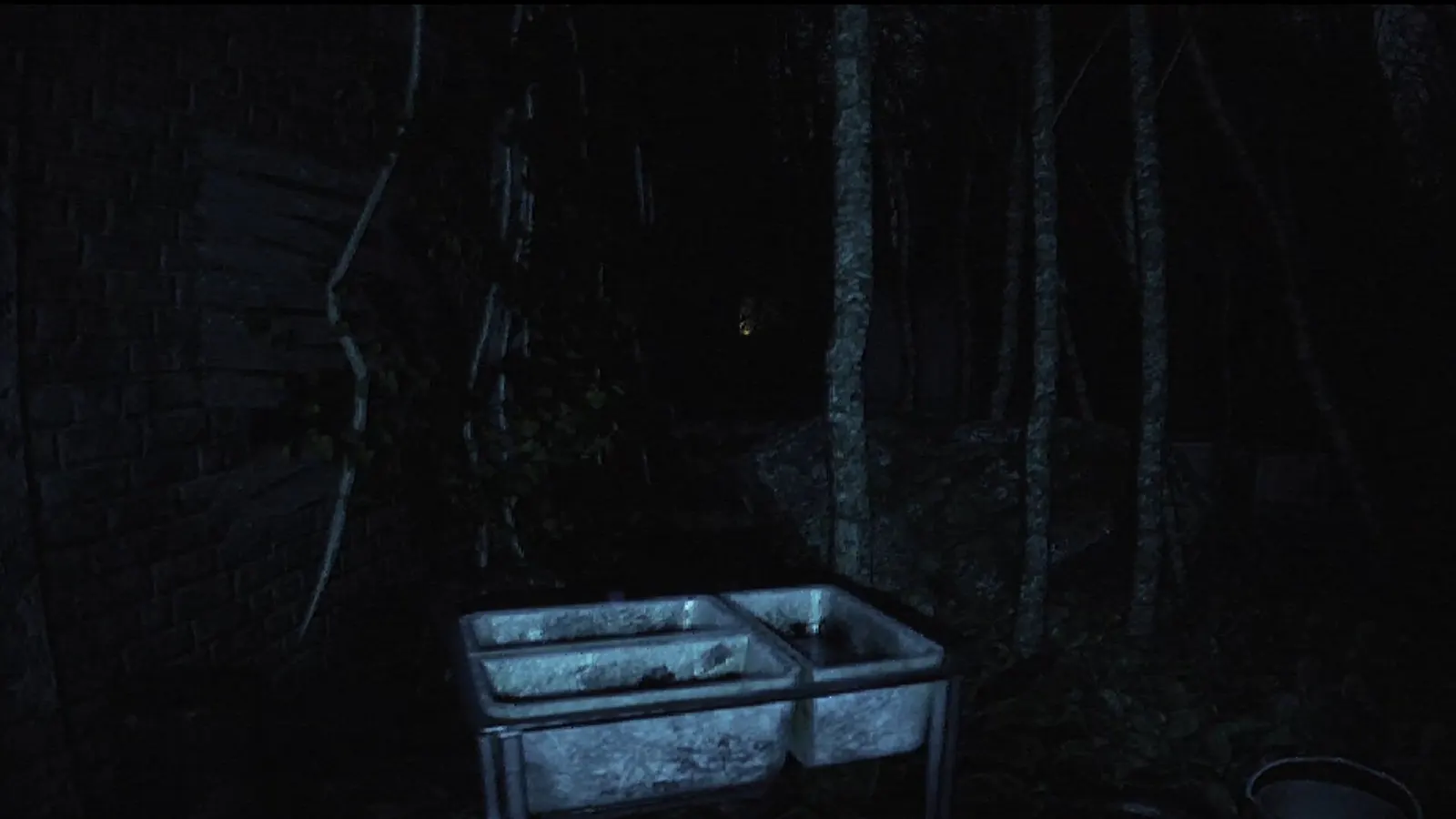 Abandoned Souls media 3