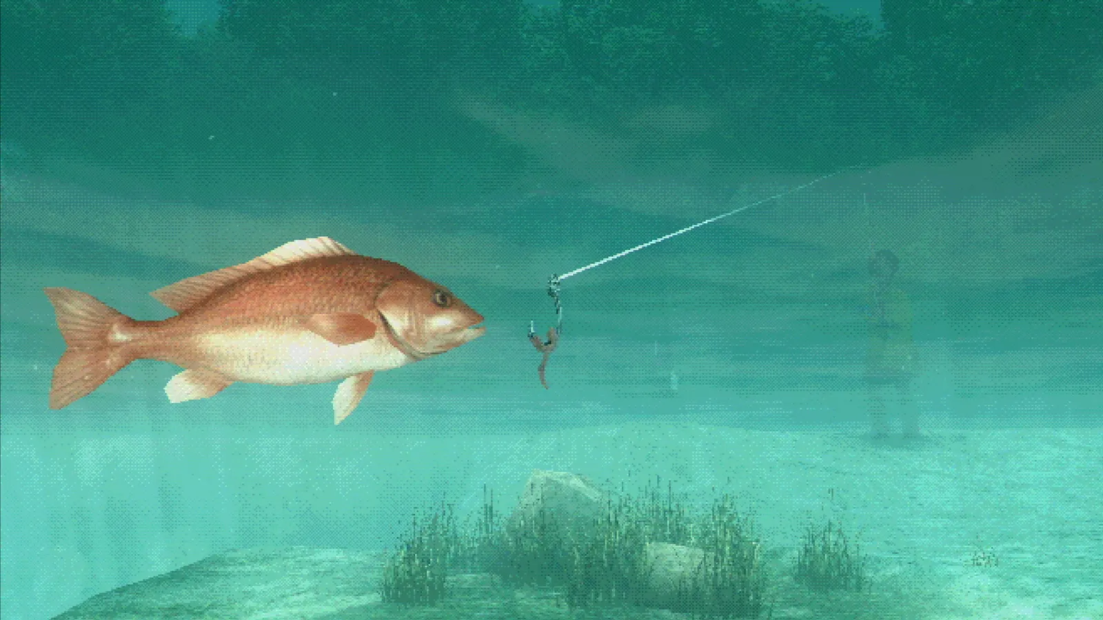 About Fishing media 4