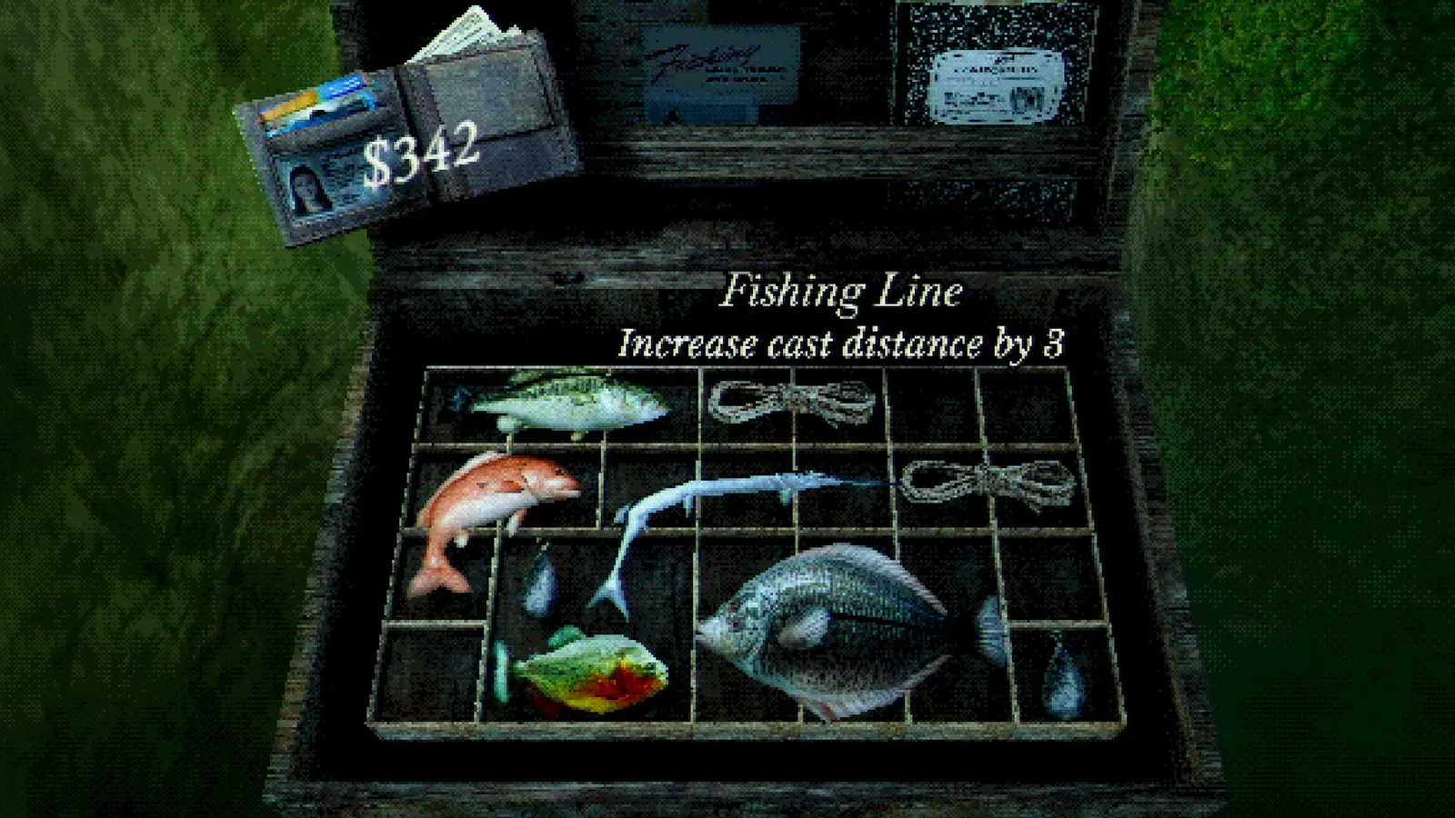 About Fishing media 5