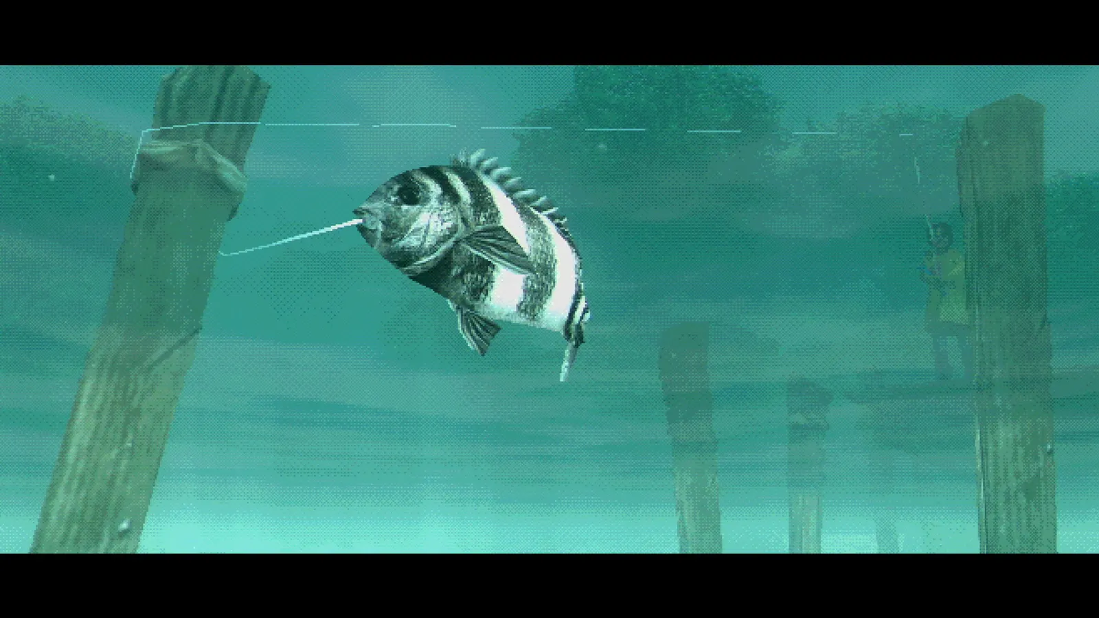 About Fishing media 9