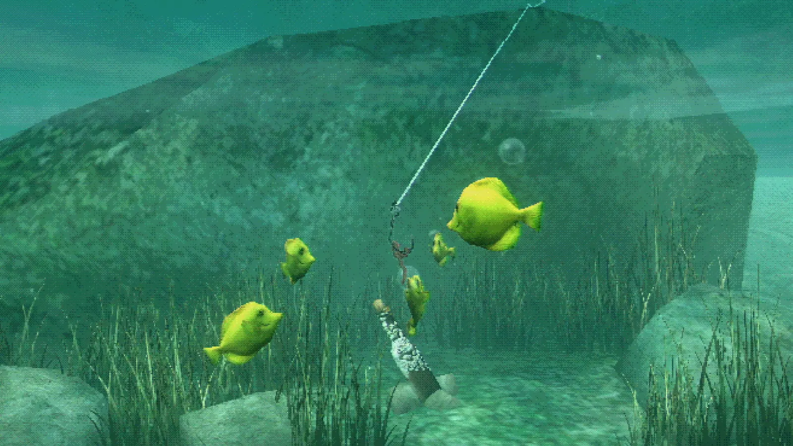About Fishing media 13