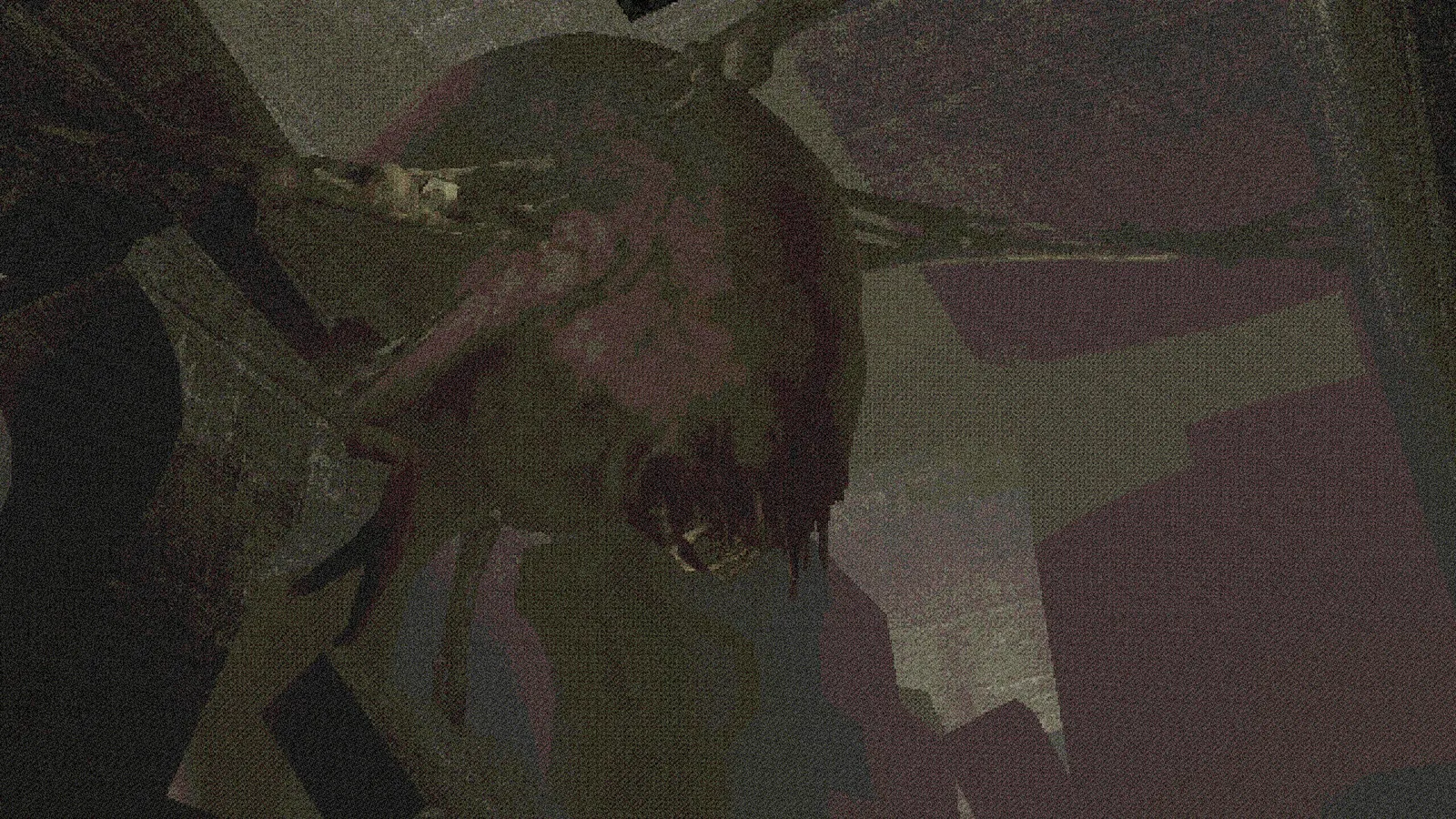 Abrasion media 6