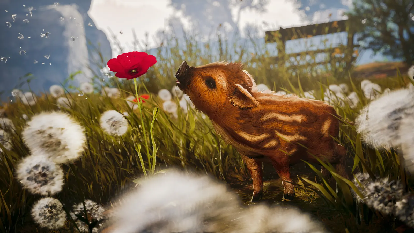 Adorable Adventures media 2