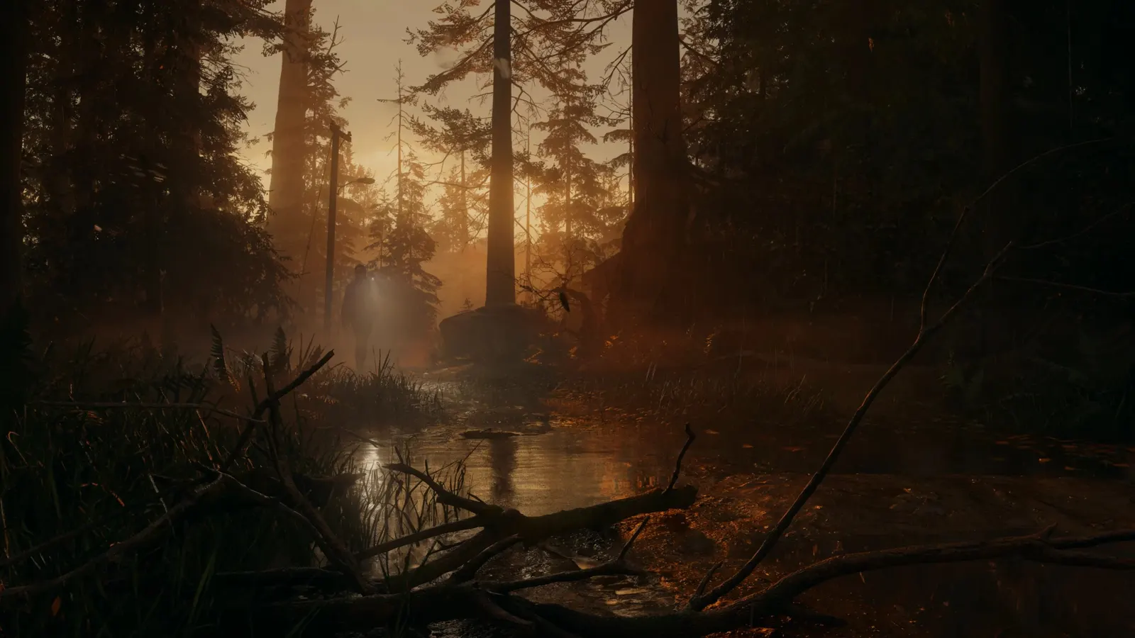 Alan Wake II media 7