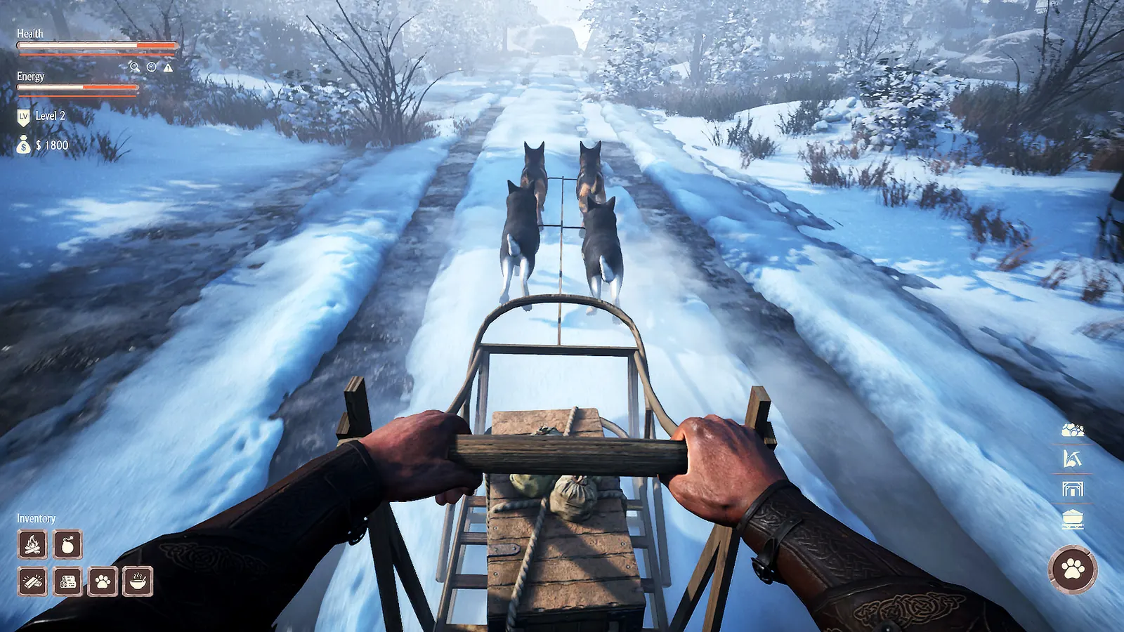 Alaska Gold Fever media 3