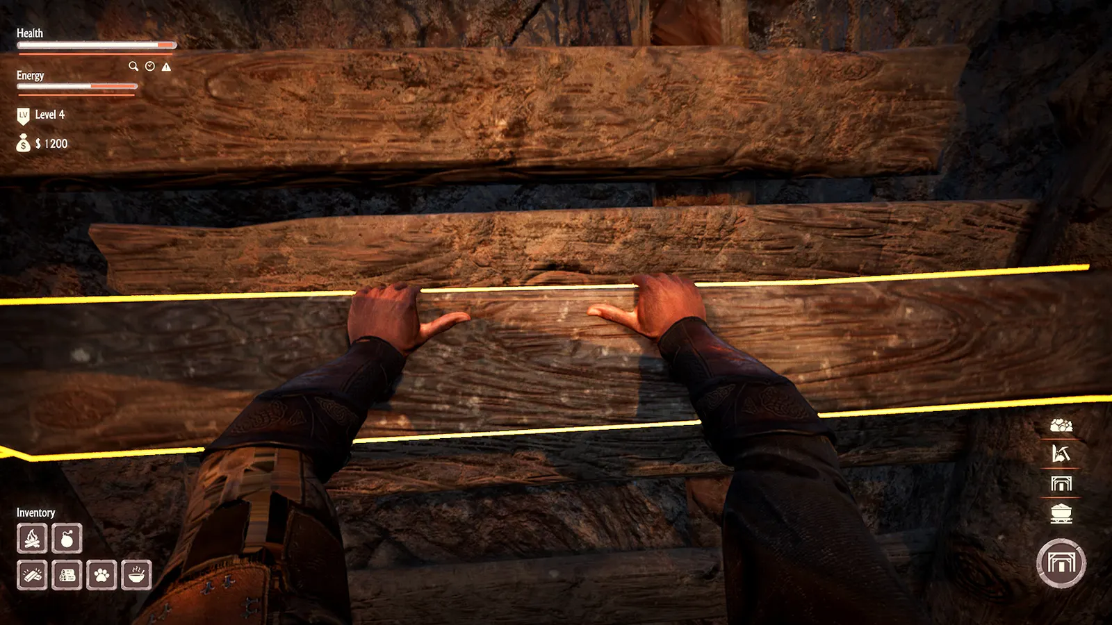 Alaska Gold Fever media 9