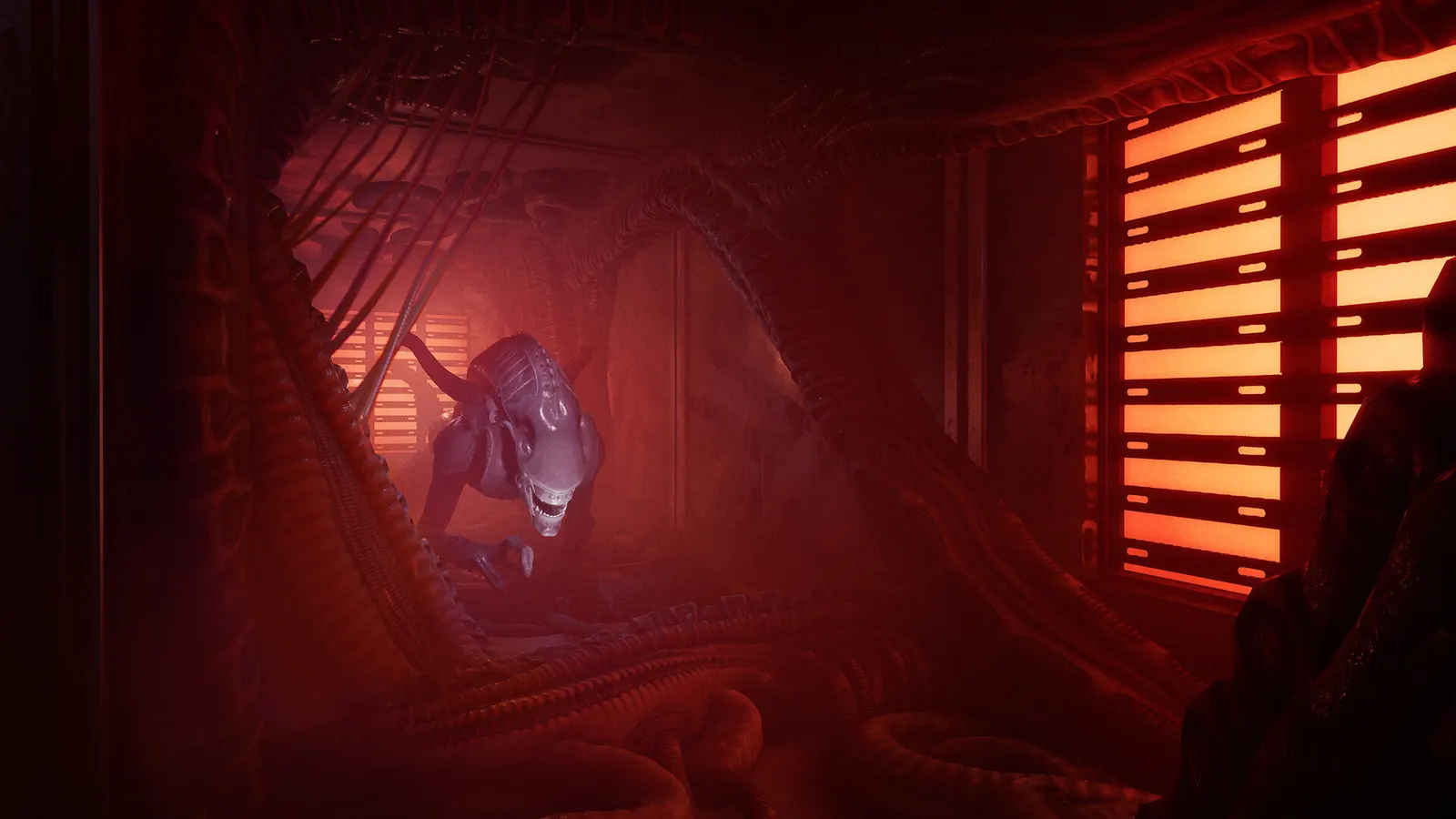Alien: Rogue Incursion Evolved Edition media 13