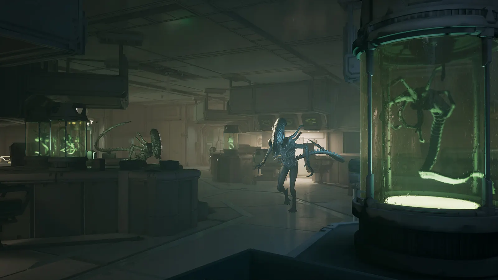 Alien: Rogue Incursion Evolved Edition media 14