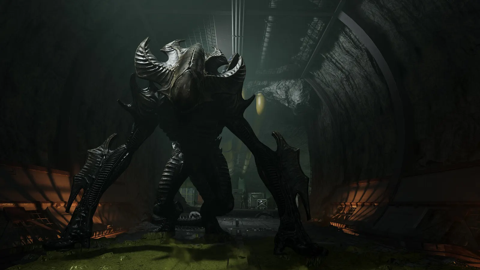 Aliens: Fireteam Elite 2 media 7