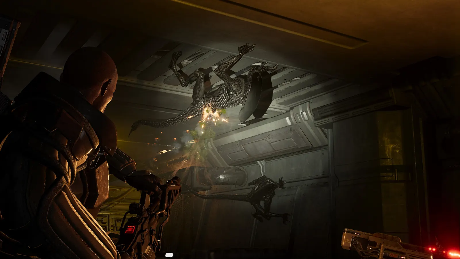 Aliens: Fireteam Elite 2 media 11