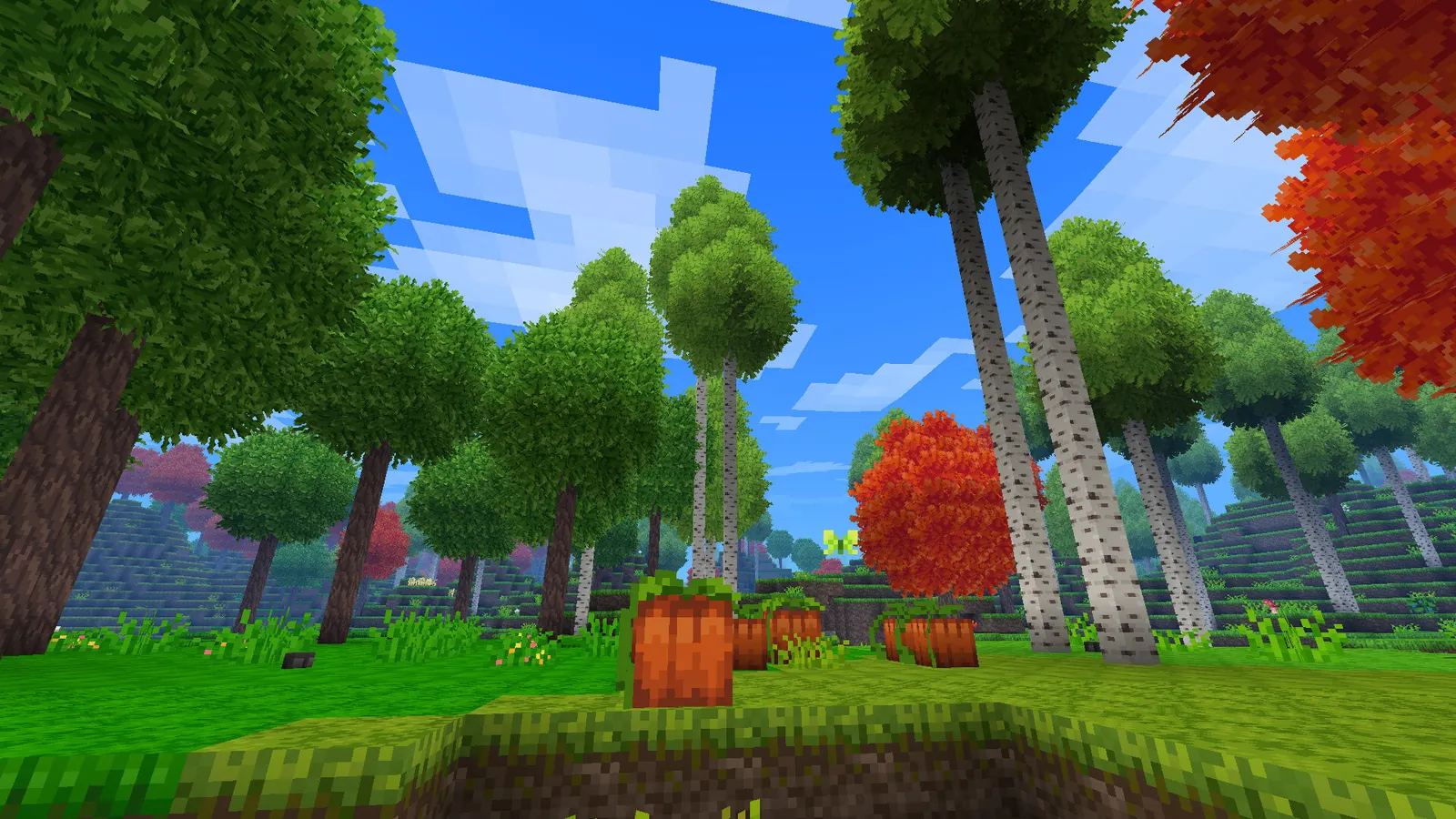 Allumeria media 2