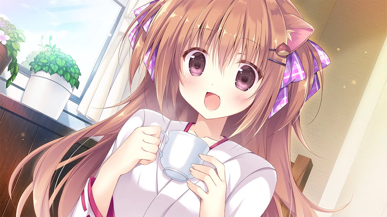Amairo Chocolate media 2