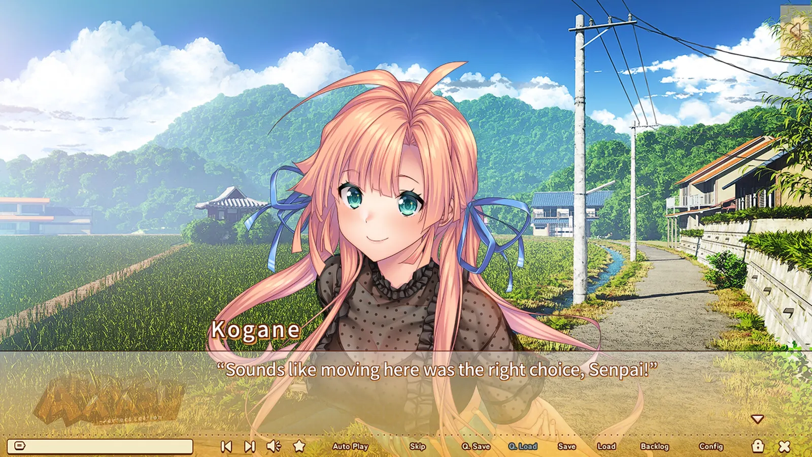 AMANATSU ~Perfect Edition~ media 12