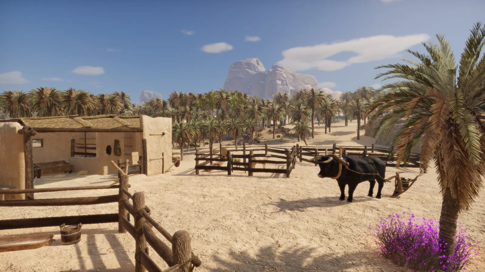 Ancient Farm media 12