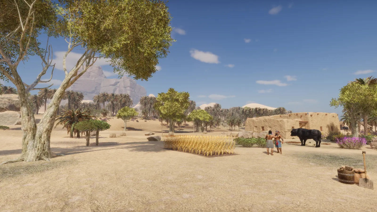 Ancient Farm media 17