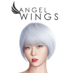 Обкладинка гри Angel Wings