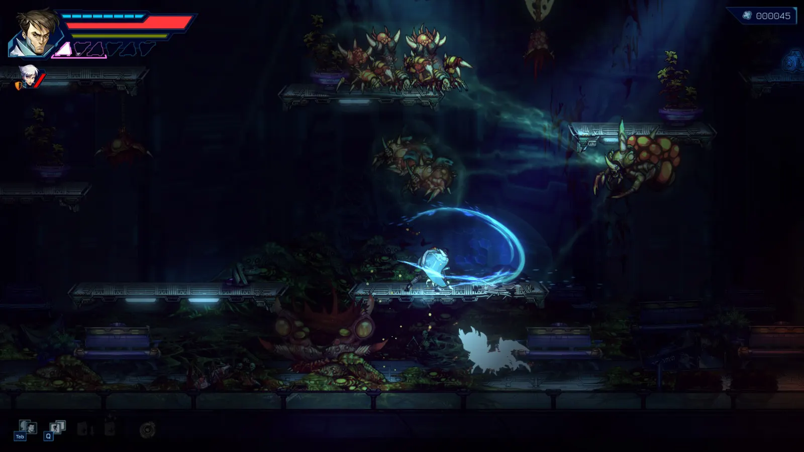 Anima Flux media 4