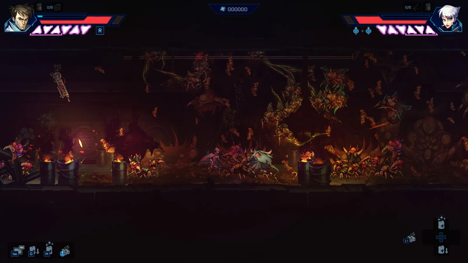Anima Flux media 11