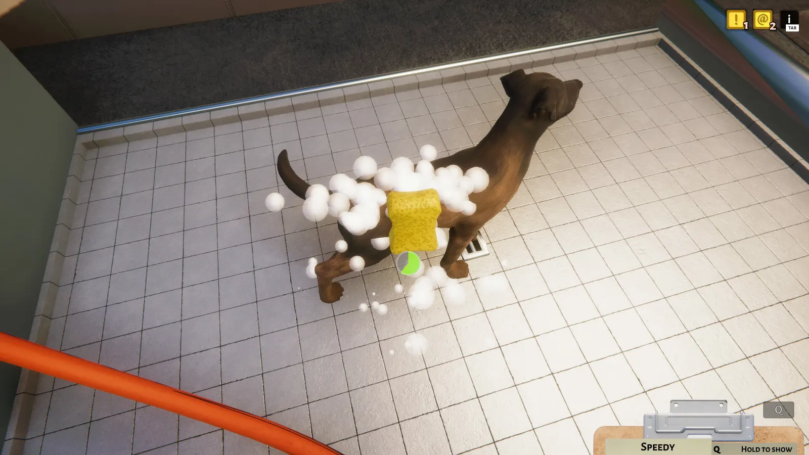 Animal Shelter media 6