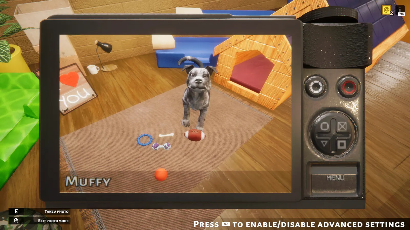 Animal Shelter media 10