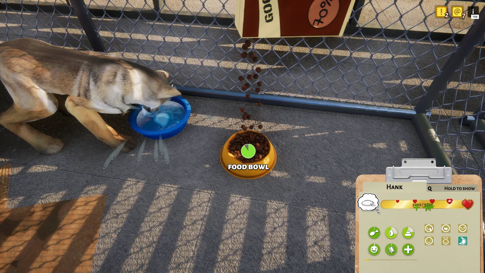 Animal Shelter media 12