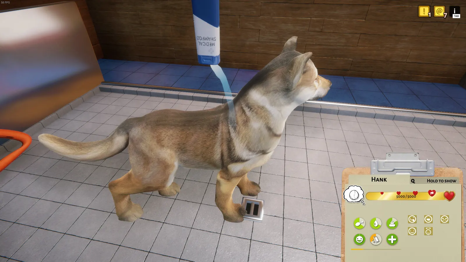 Animal Shelter media 13