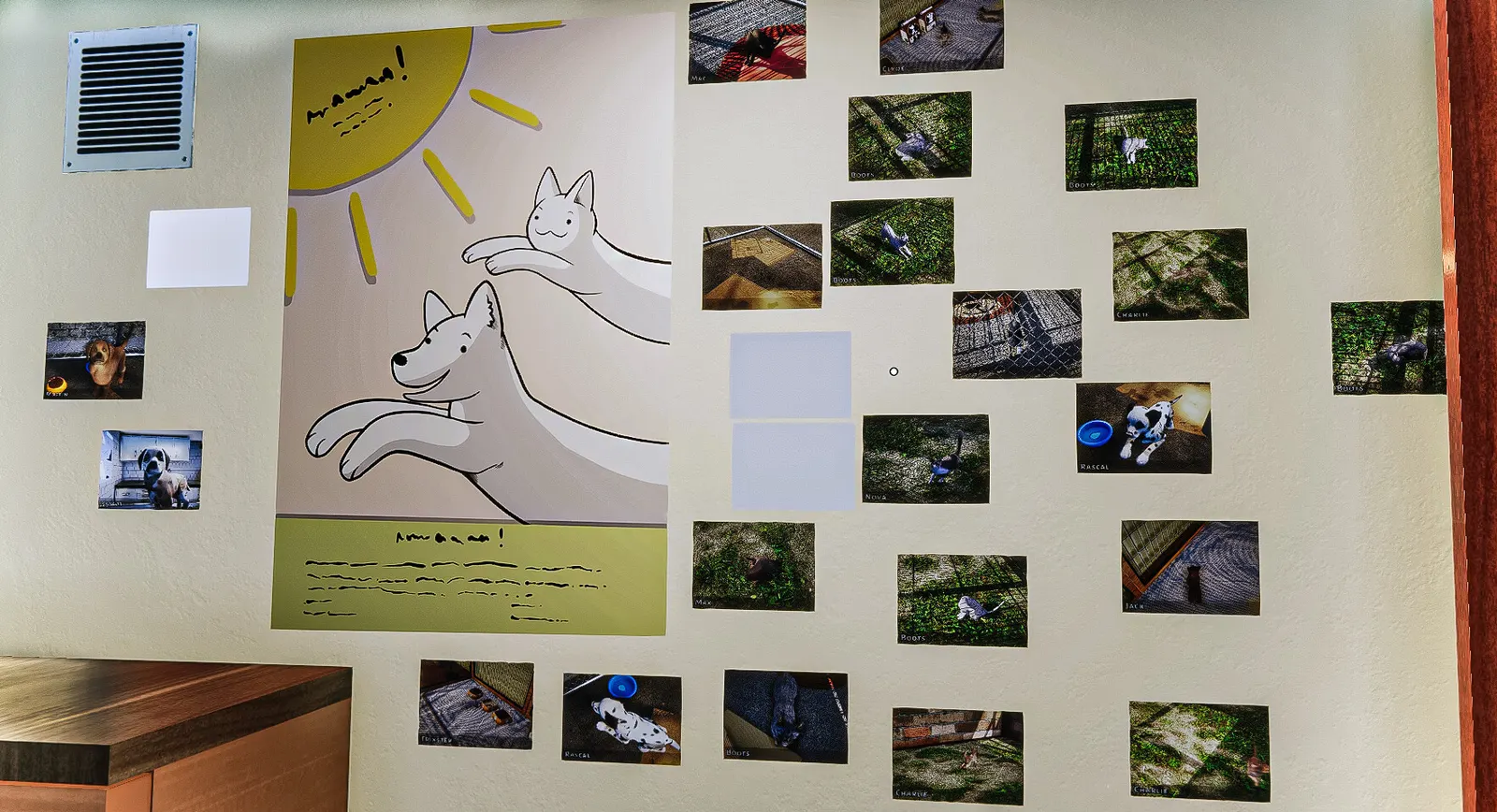 Animal Shelter media 19