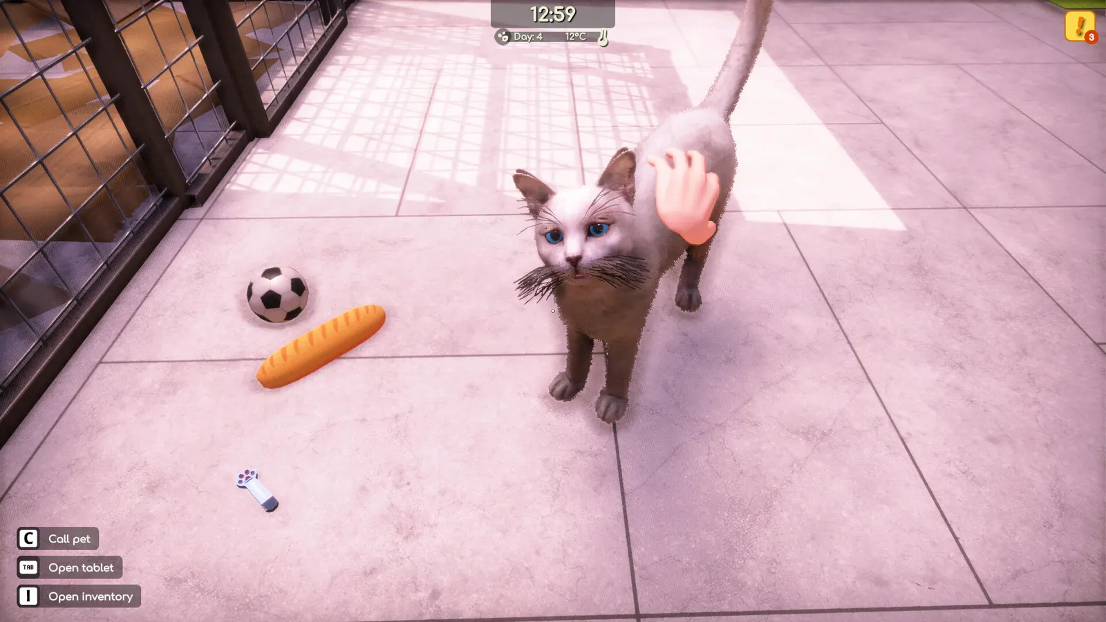 Animal Shelter 2 media 3
