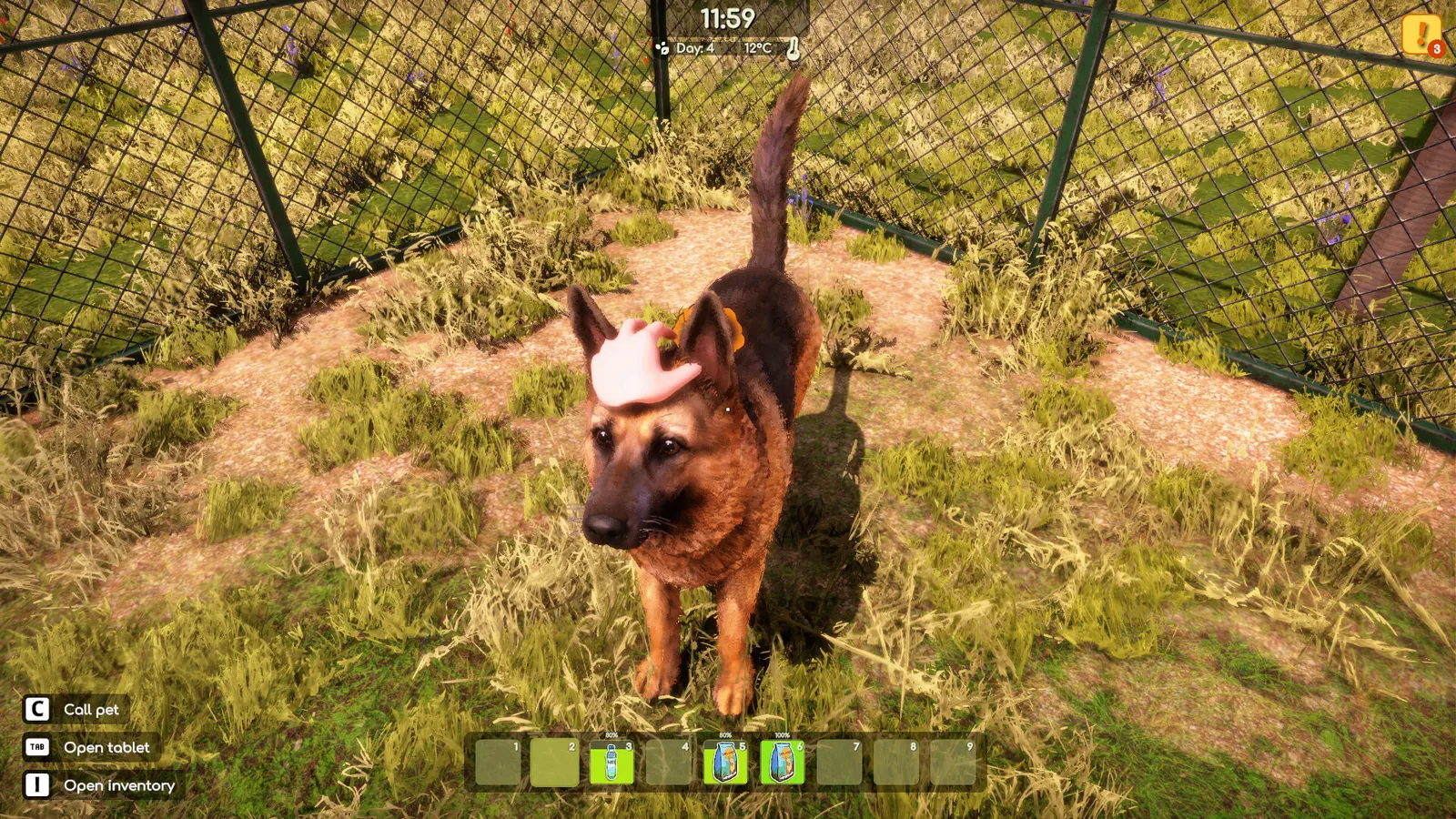 Animal Shelter 2 media 16