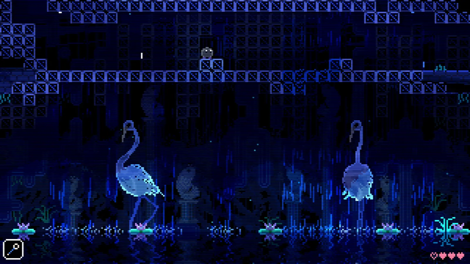 ANIMAL WELL media 4