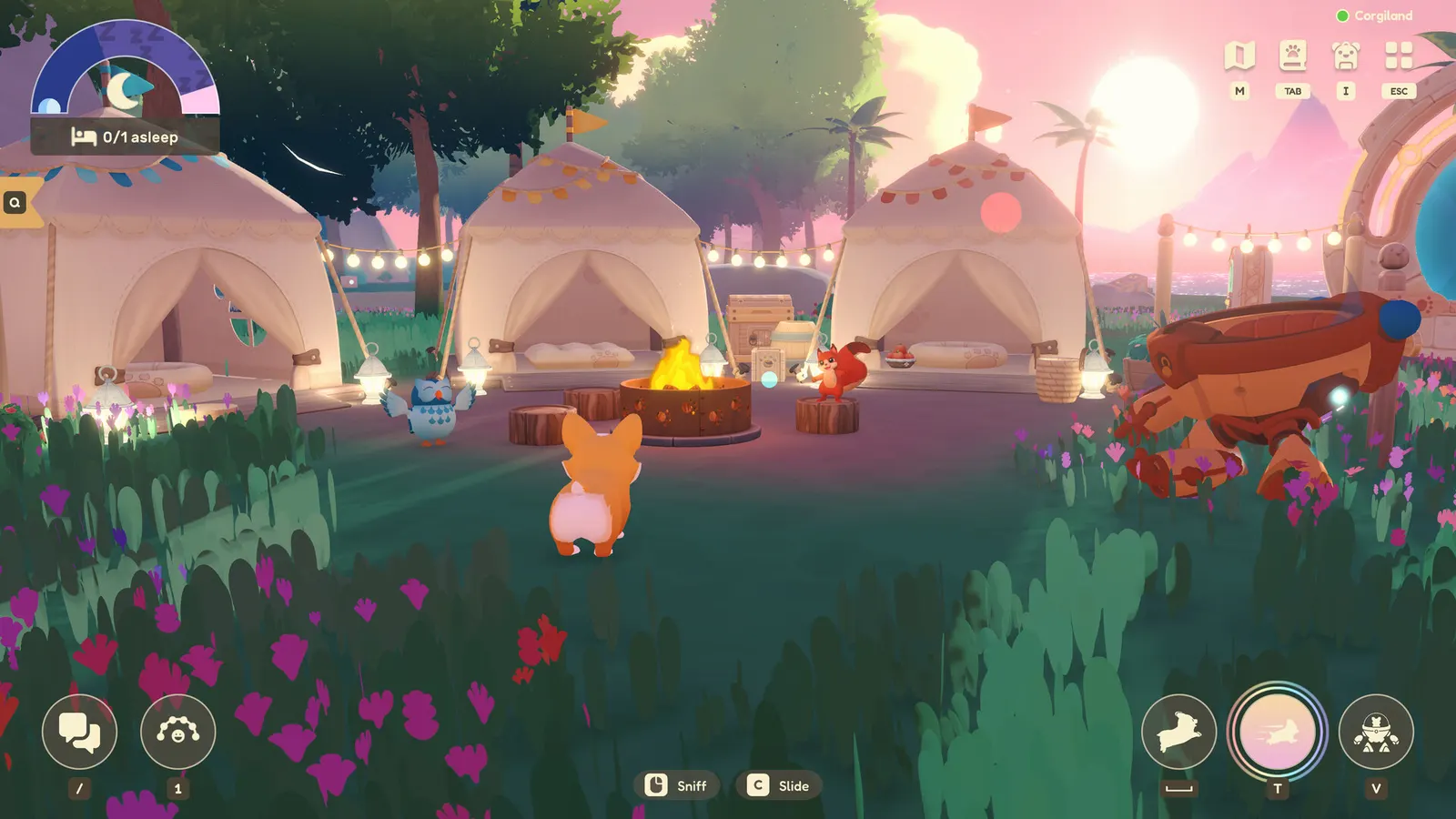 Animalkind media 2