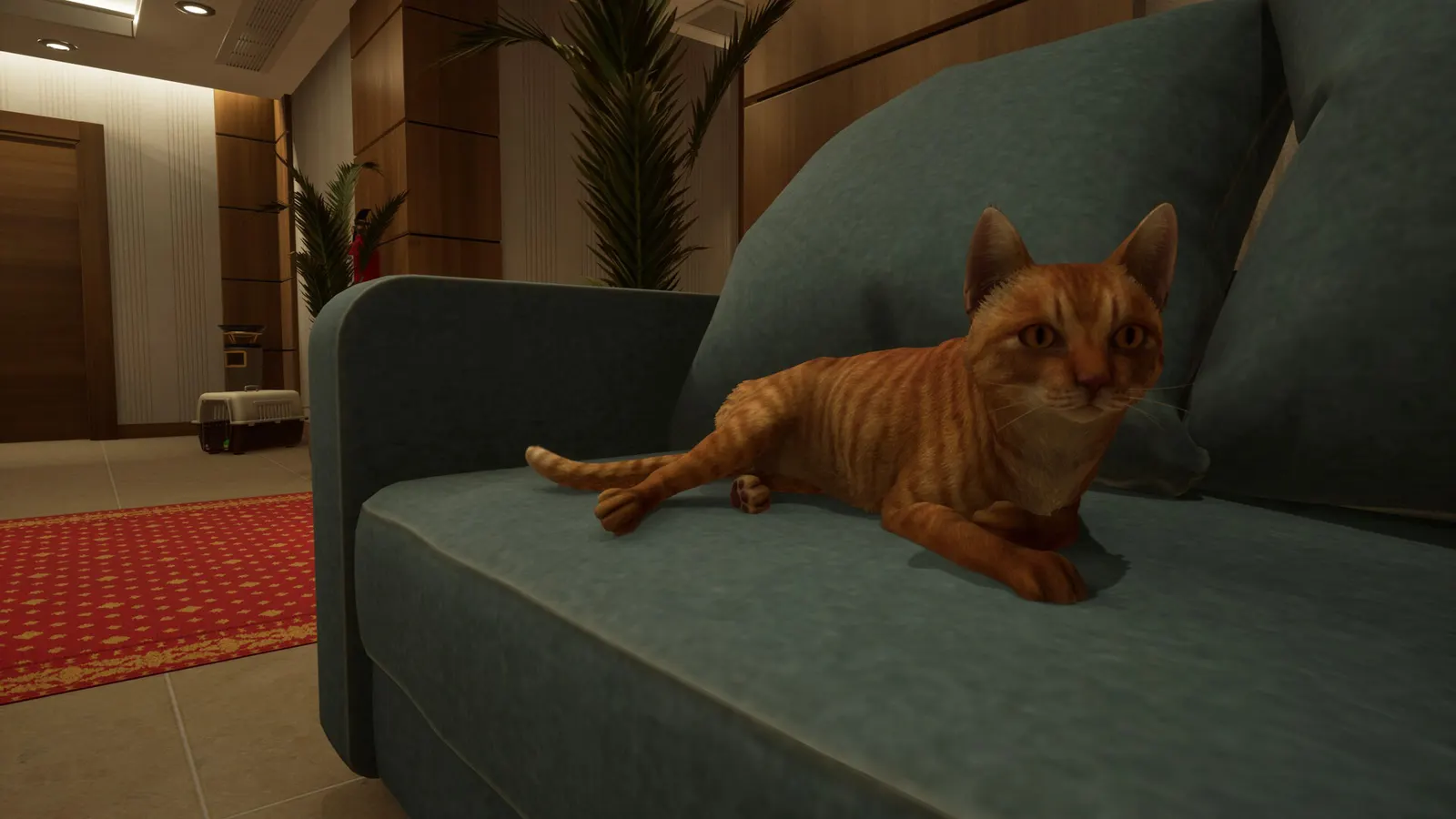 Anomaly Company media 7