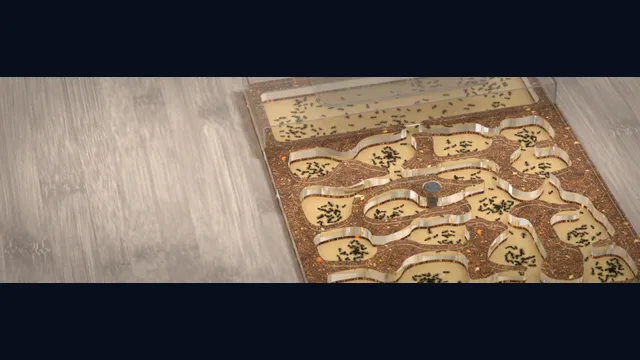 Ant Farm Simulator