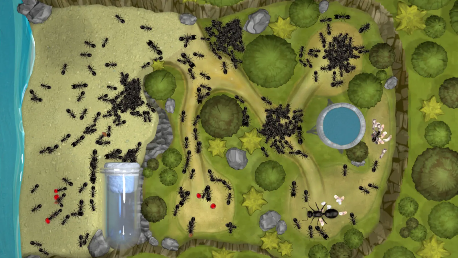 Ant Farm Simulator media 5