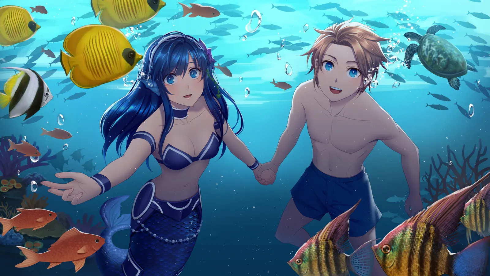 Aquadine media 2