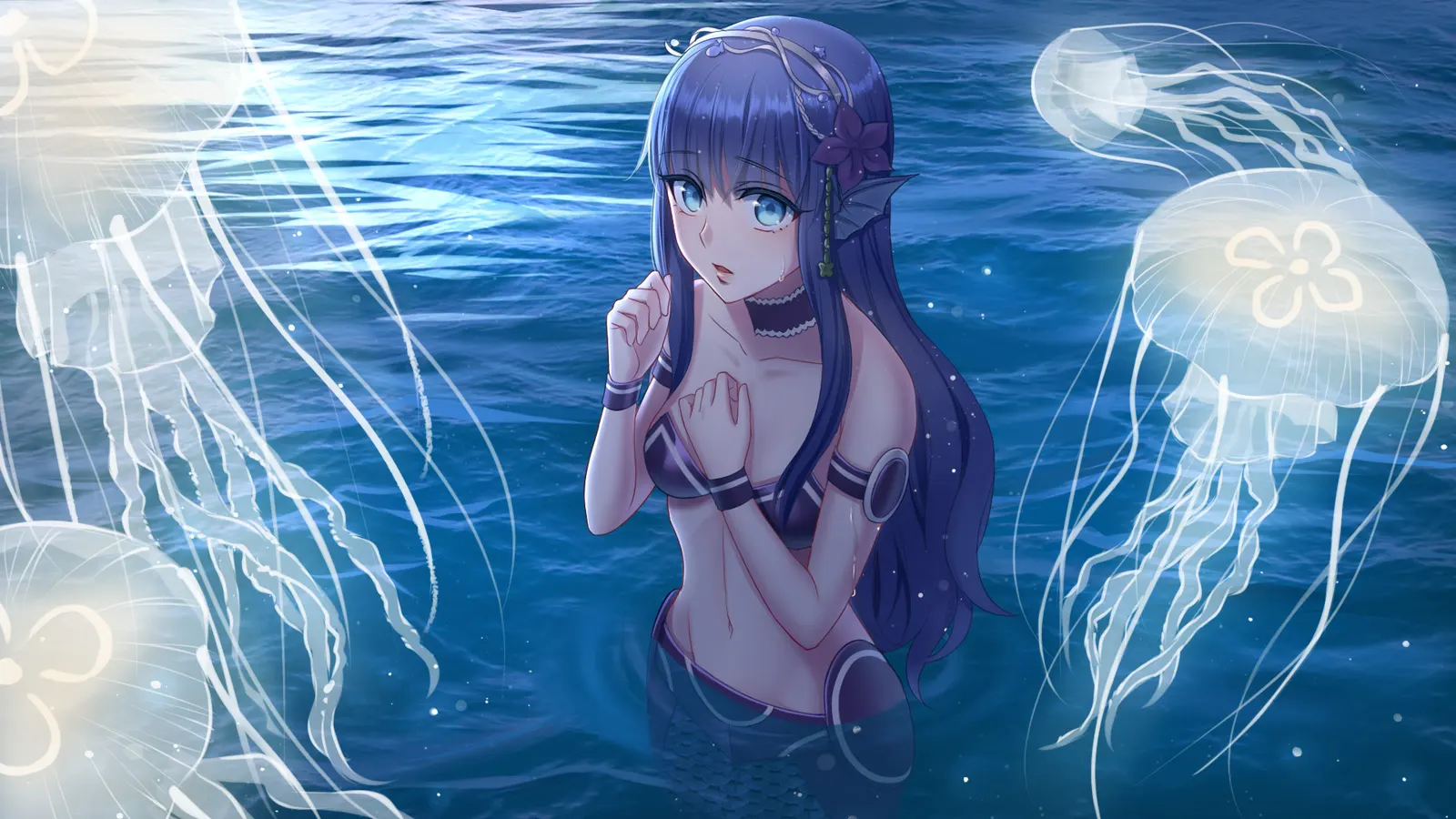 Aquadine media 6