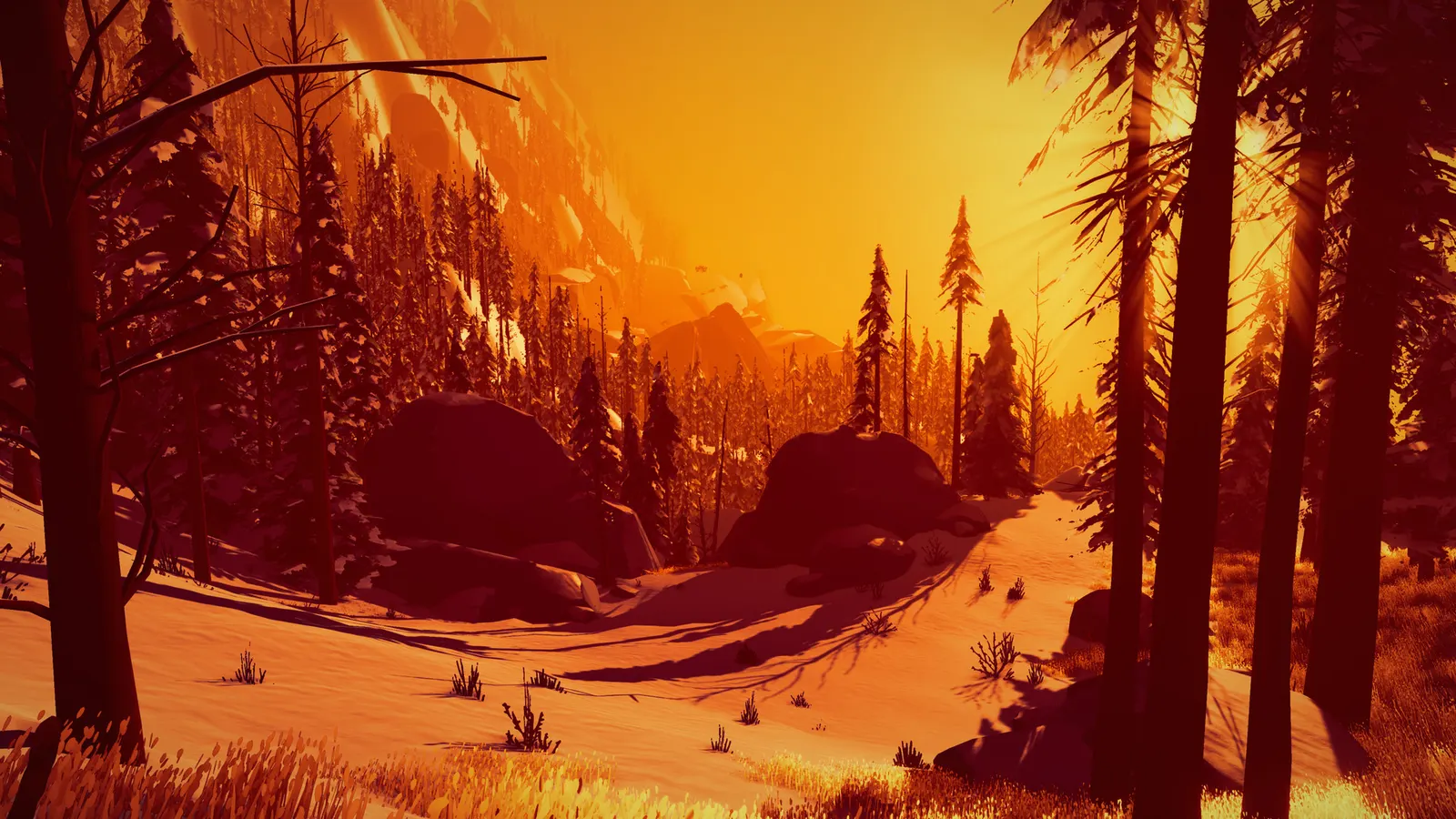 Arctic Awakening media 4