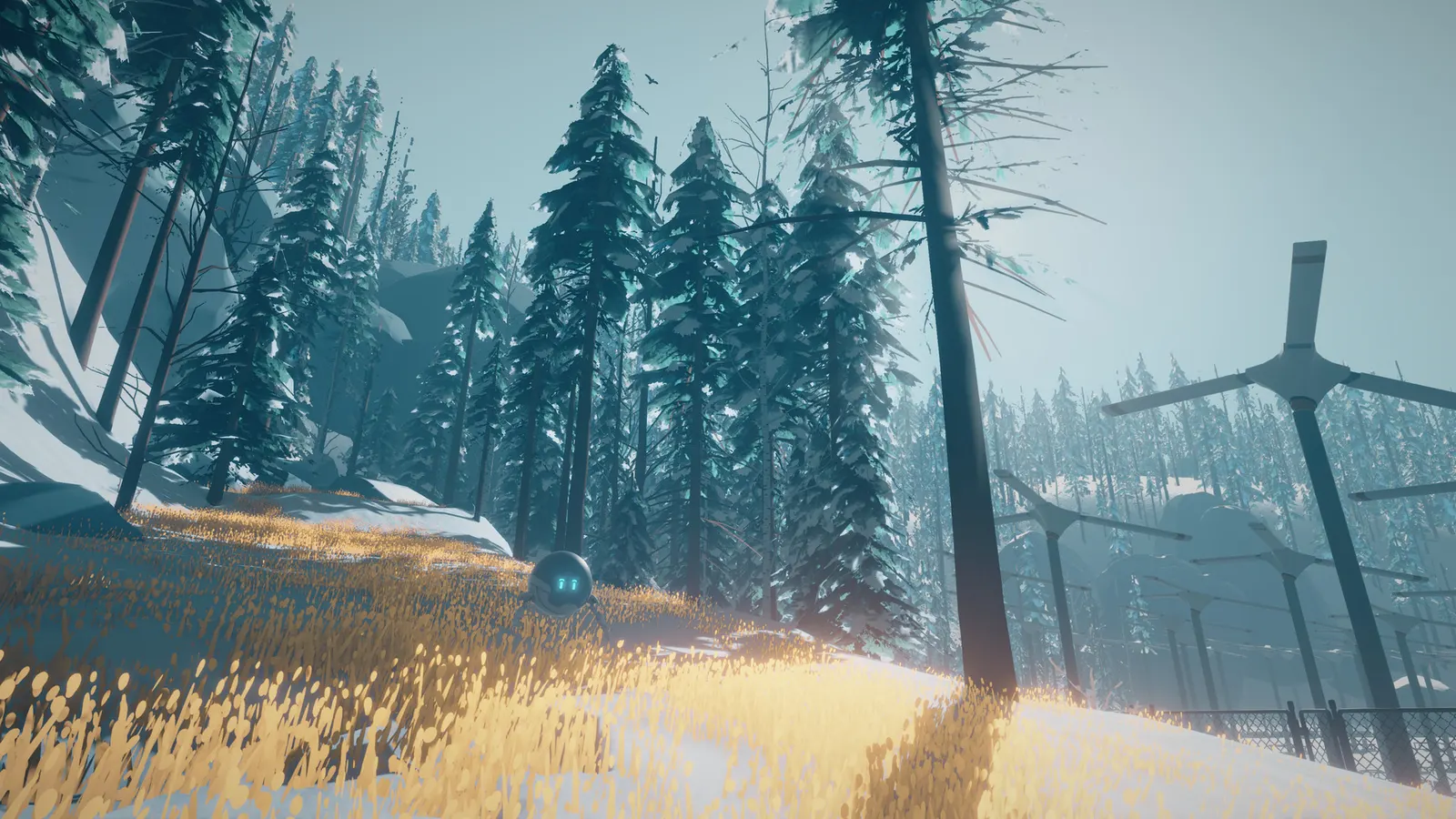 Arctic Awakening media 8