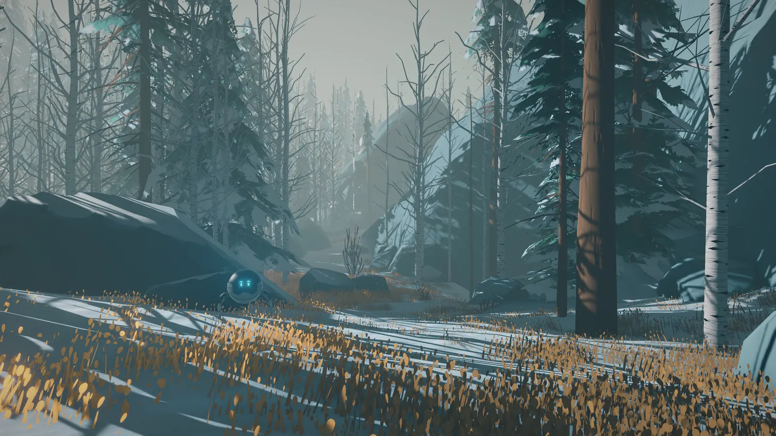 Arctic Awakening media 11