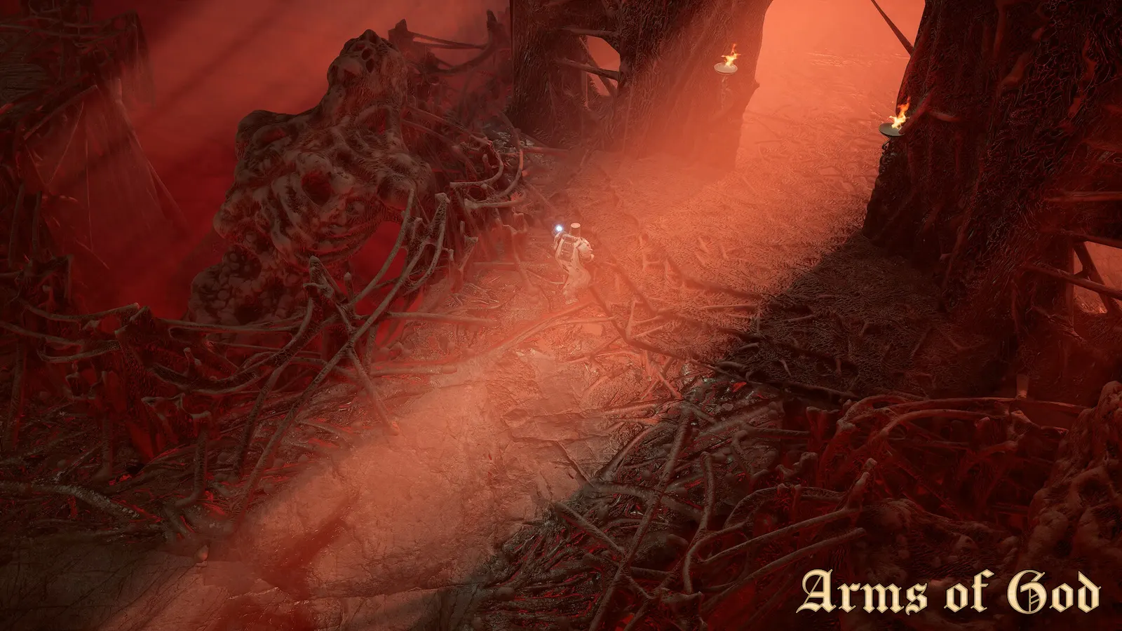Arms of God media 10