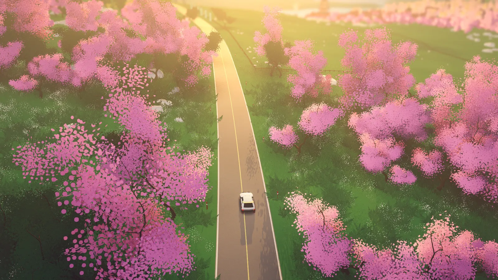 art of rally media 6