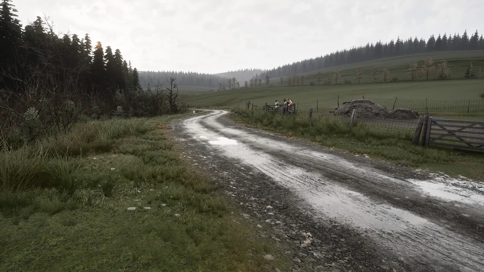 Assetto Corsa Rally media 10