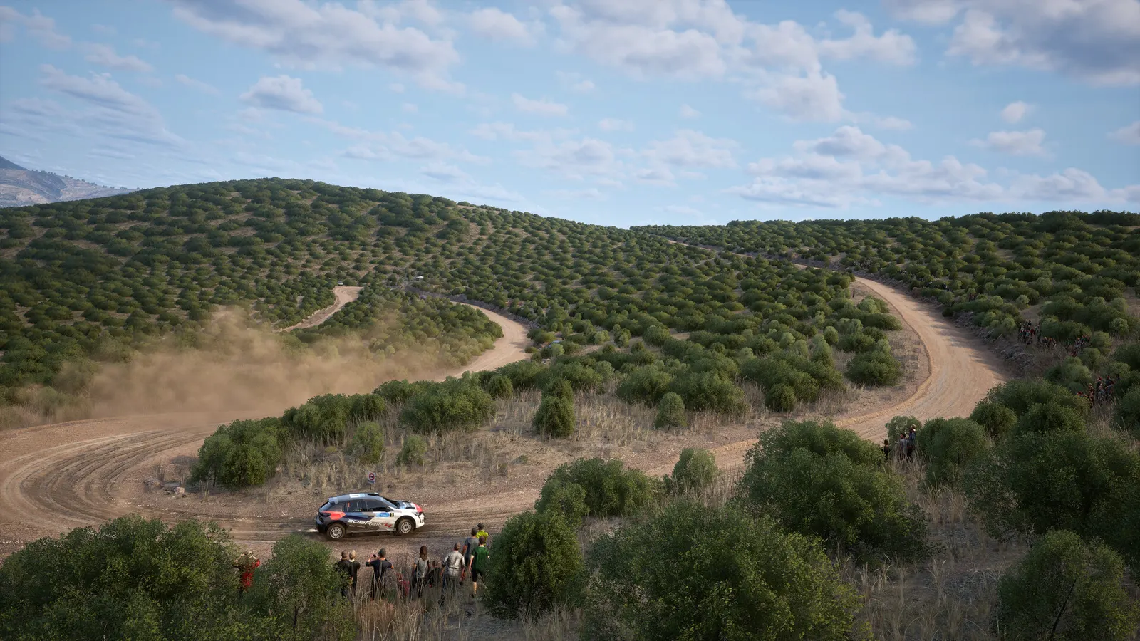 Assetto Corsa Rally media 4