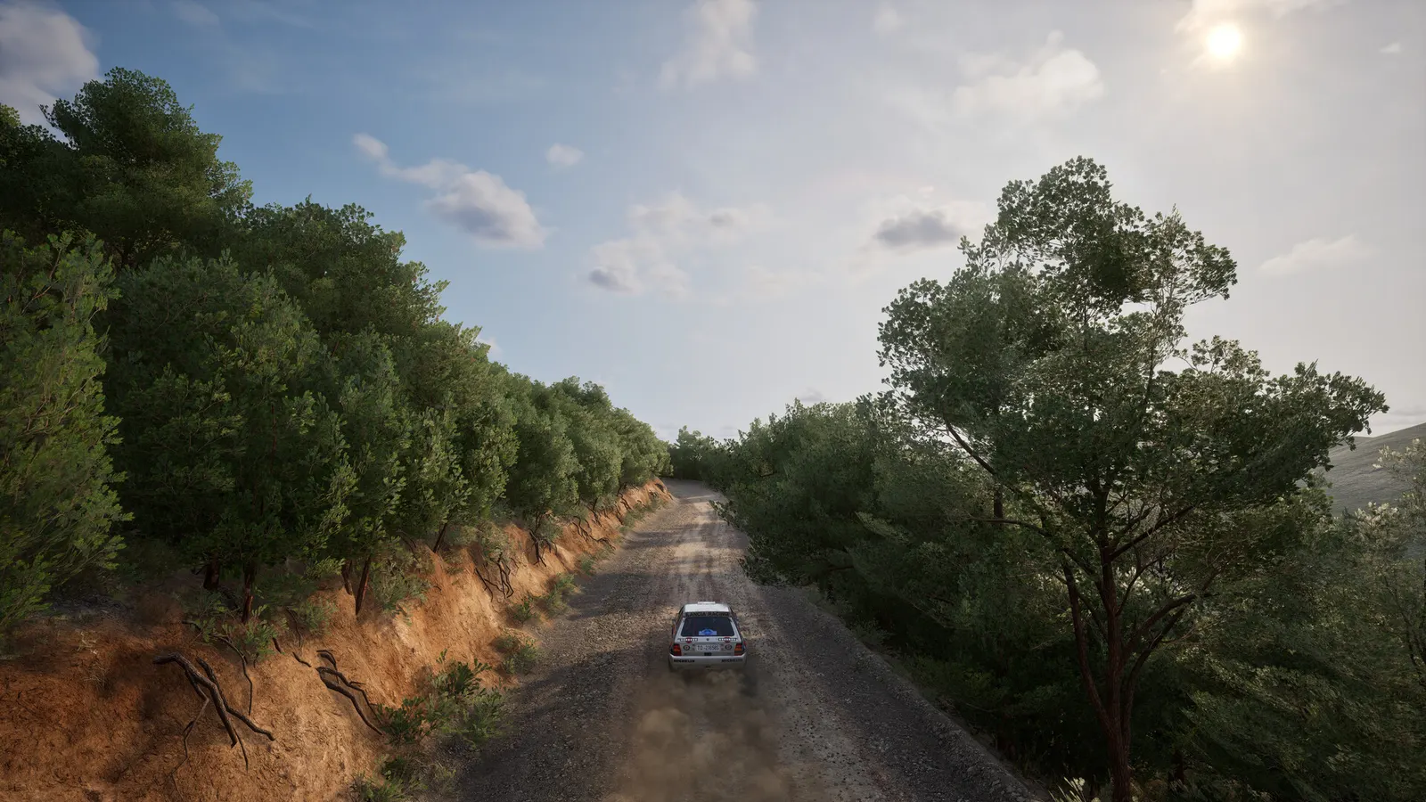 Assetto Corsa Rally media 10
